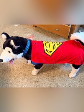 Superman Dog Costume XXL | DC Comics Pet Halloween Cape Shirt